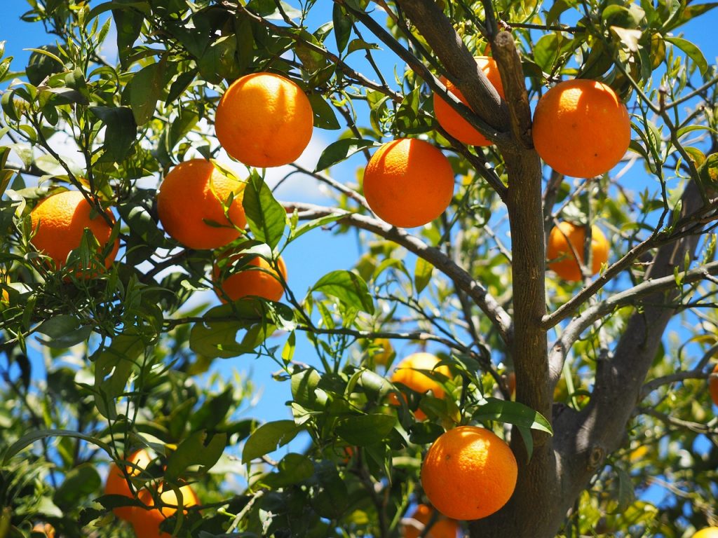 Key ingredients to brighten your skin